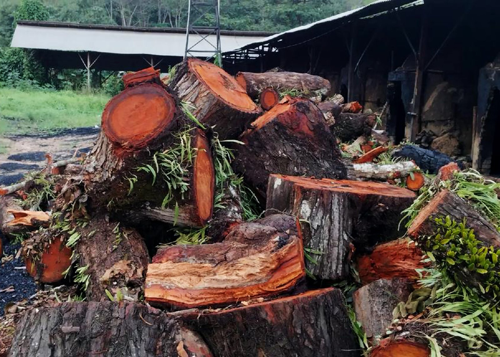 hardwood lump charcoal factory