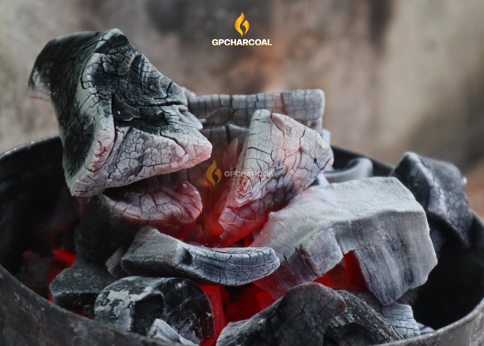 lump charcoal factory