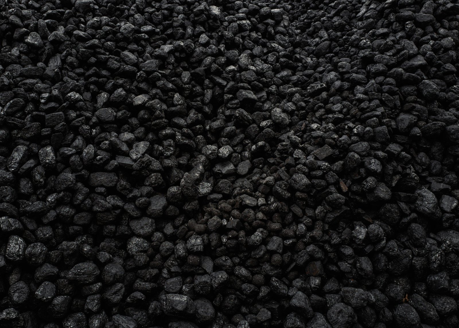 thermal coal supplier